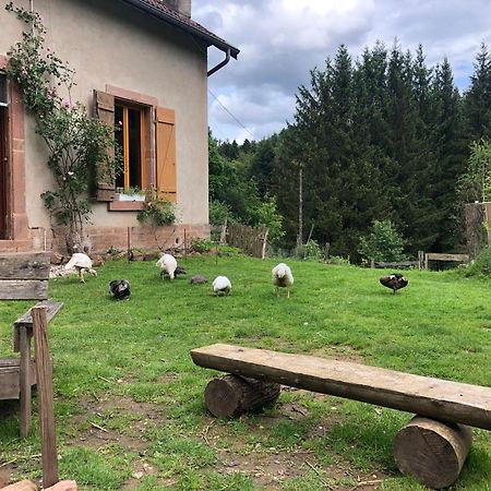 A L'Oree De Soi - Maison Forestiere De La Soie - Eco Gite, Chambres D'Hotes, Camping Au Pied Des Vosges Saint-Sauveur  Экстерьер фото