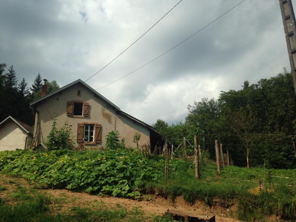 A L'Oree De Soi - Maison Forestiere De La Soie - Eco Gite, Chambres D'Hotes, Camping Au Pied Des Vosges Saint-Sauveur  Экстерьер фото