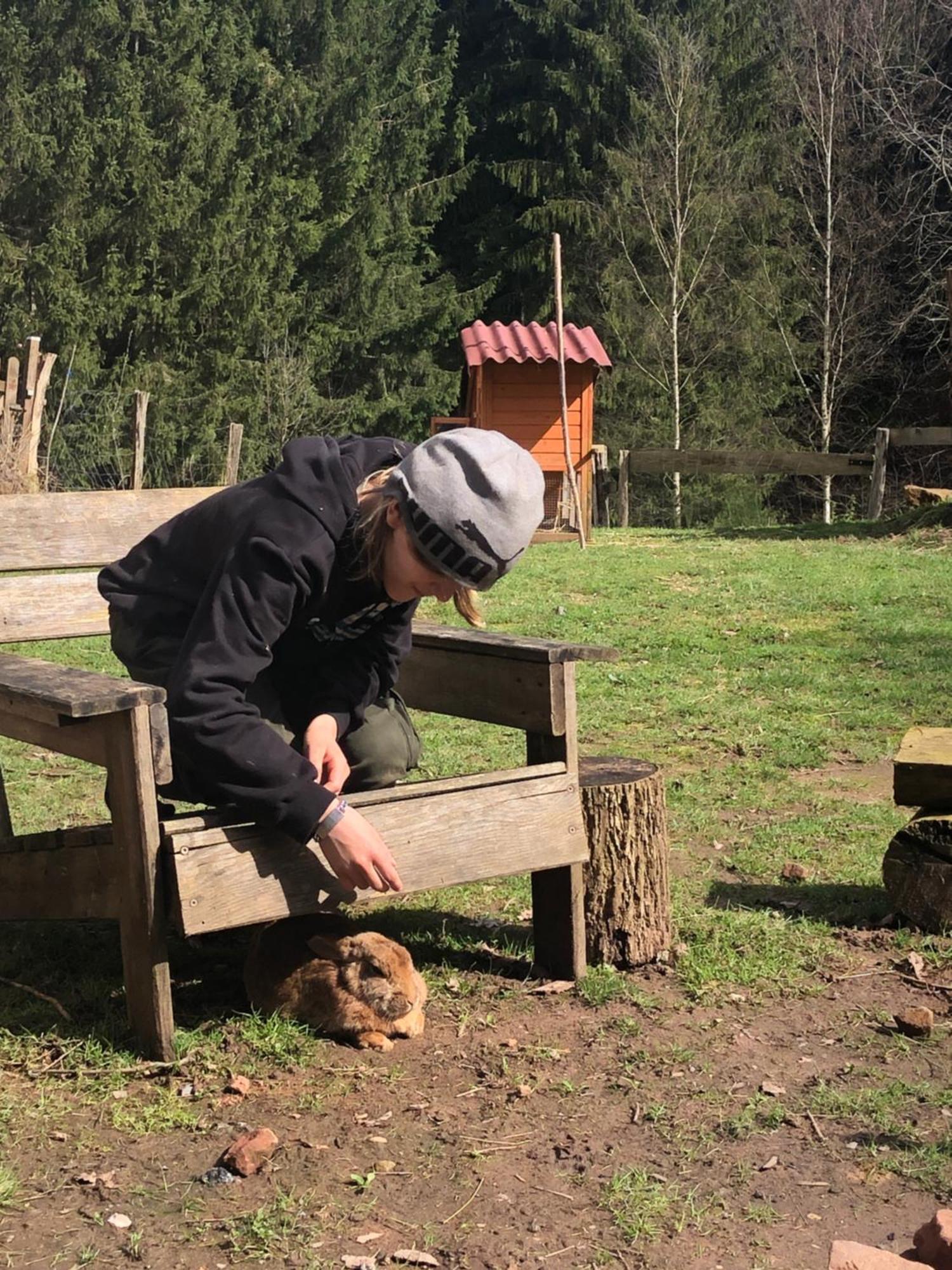 A L'Oree De Soi - Maison Forestiere De La Soie - Eco Gite, Chambres D'Hotes, Camping Au Pied Des Vosges Saint-Sauveur  Экстерьер фото