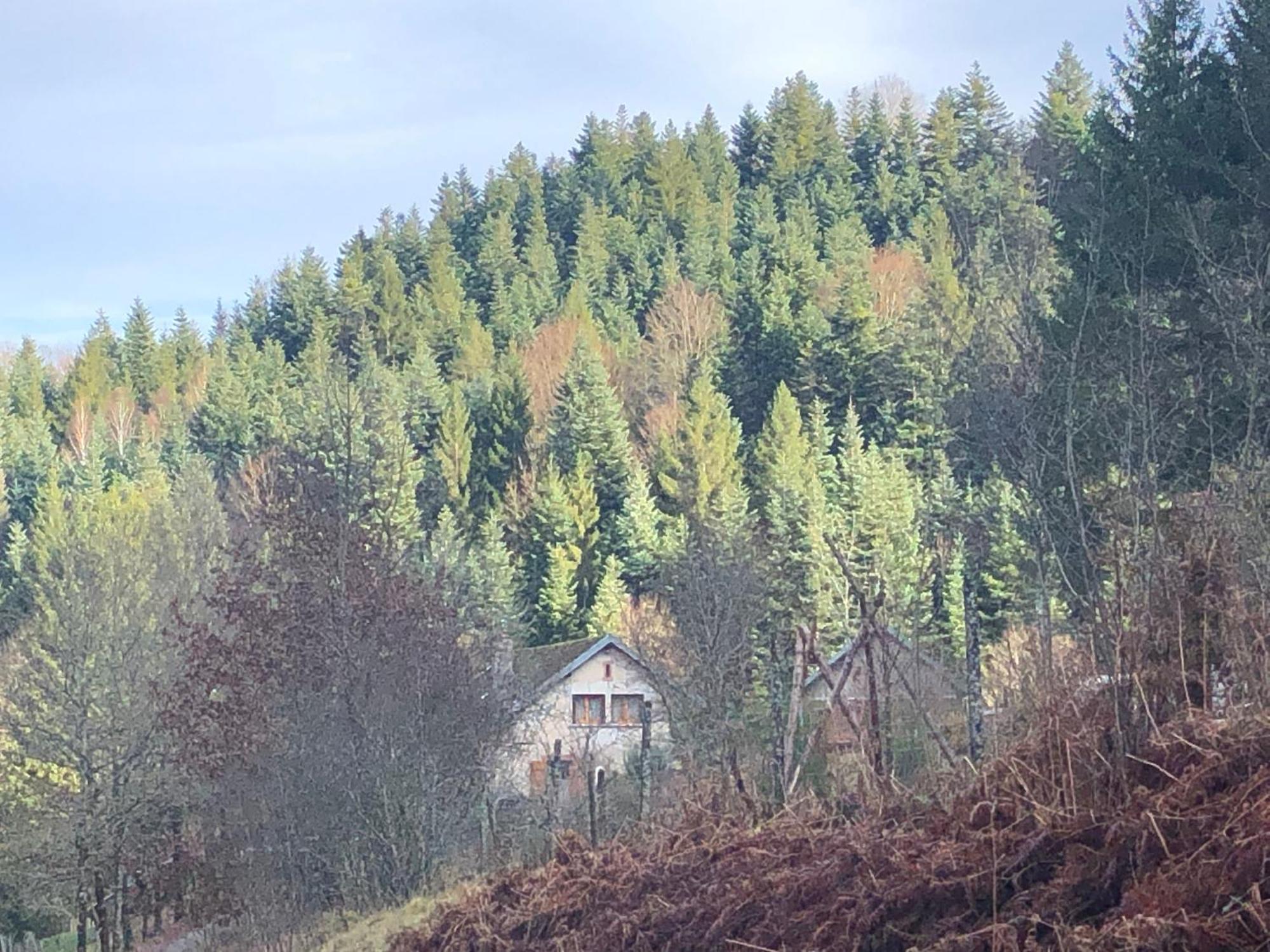 A L'Oree De Soi - Maison Forestiere De La Soie - Eco Gite, Chambres D'Hotes, Camping Au Pied Des Vosges Saint-Sauveur  Экстерьер фото