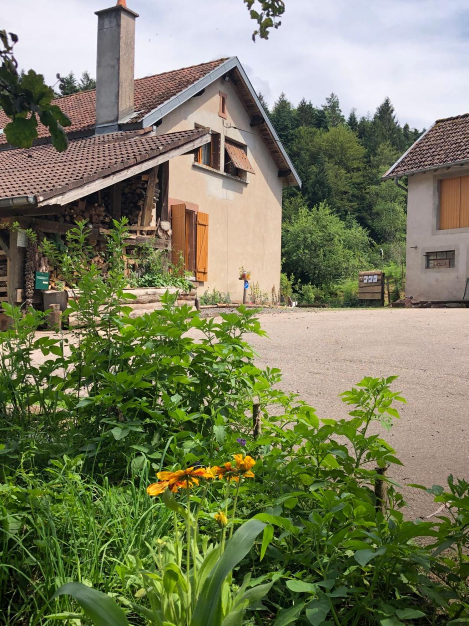 A L'Oree De Soi - Maison Forestiere De La Soie - Eco Gite, Chambres D'Hotes, Camping Au Pied Des Vosges Saint-Sauveur  Экстерьер фото