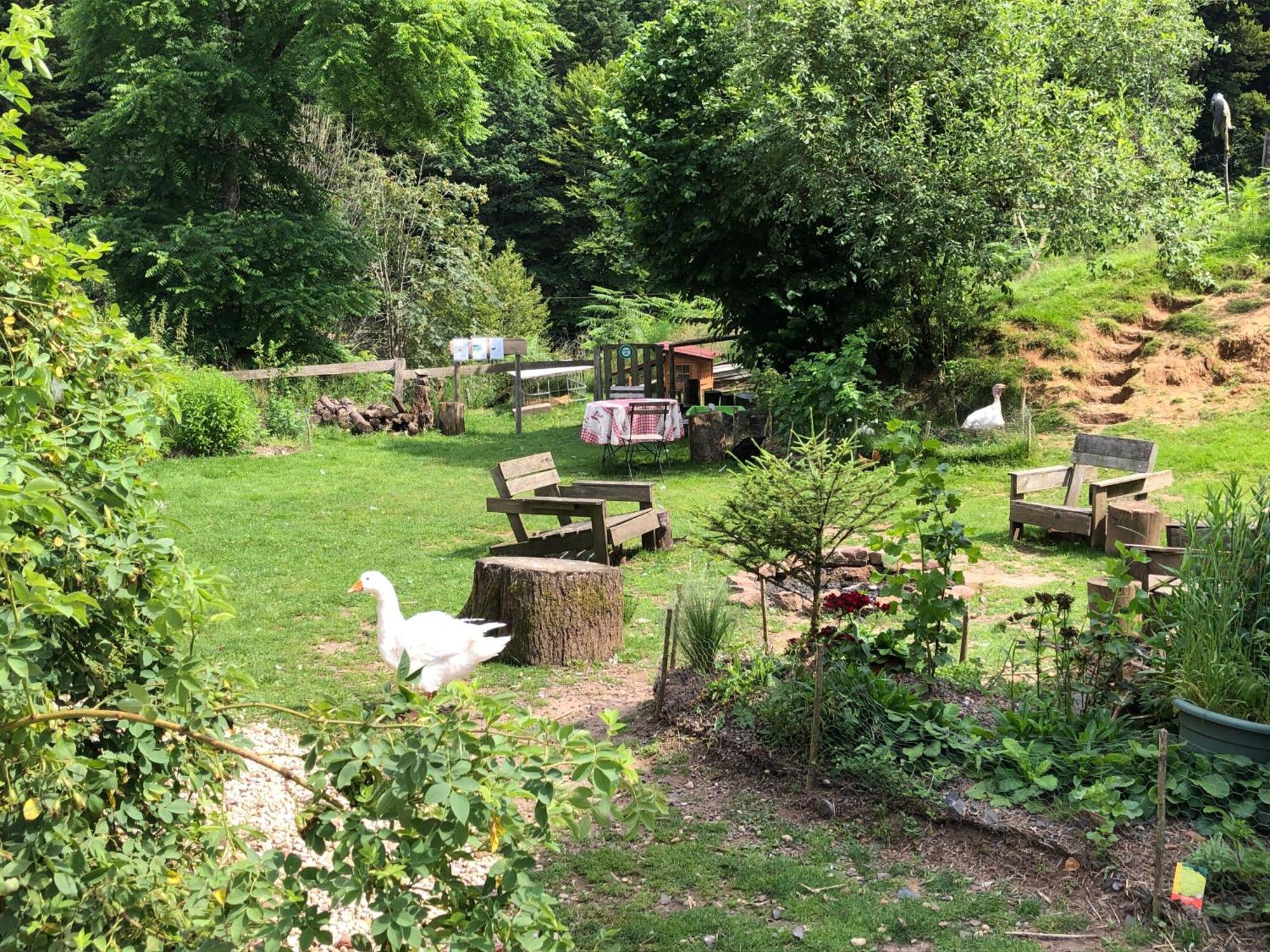 A L'Oree De Soi - Maison Forestiere De La Soie - Eco Gite, Chambres D'Hotes, Camping Au Pied Des Vosges Saint-Sauveur  Экстерьер фото