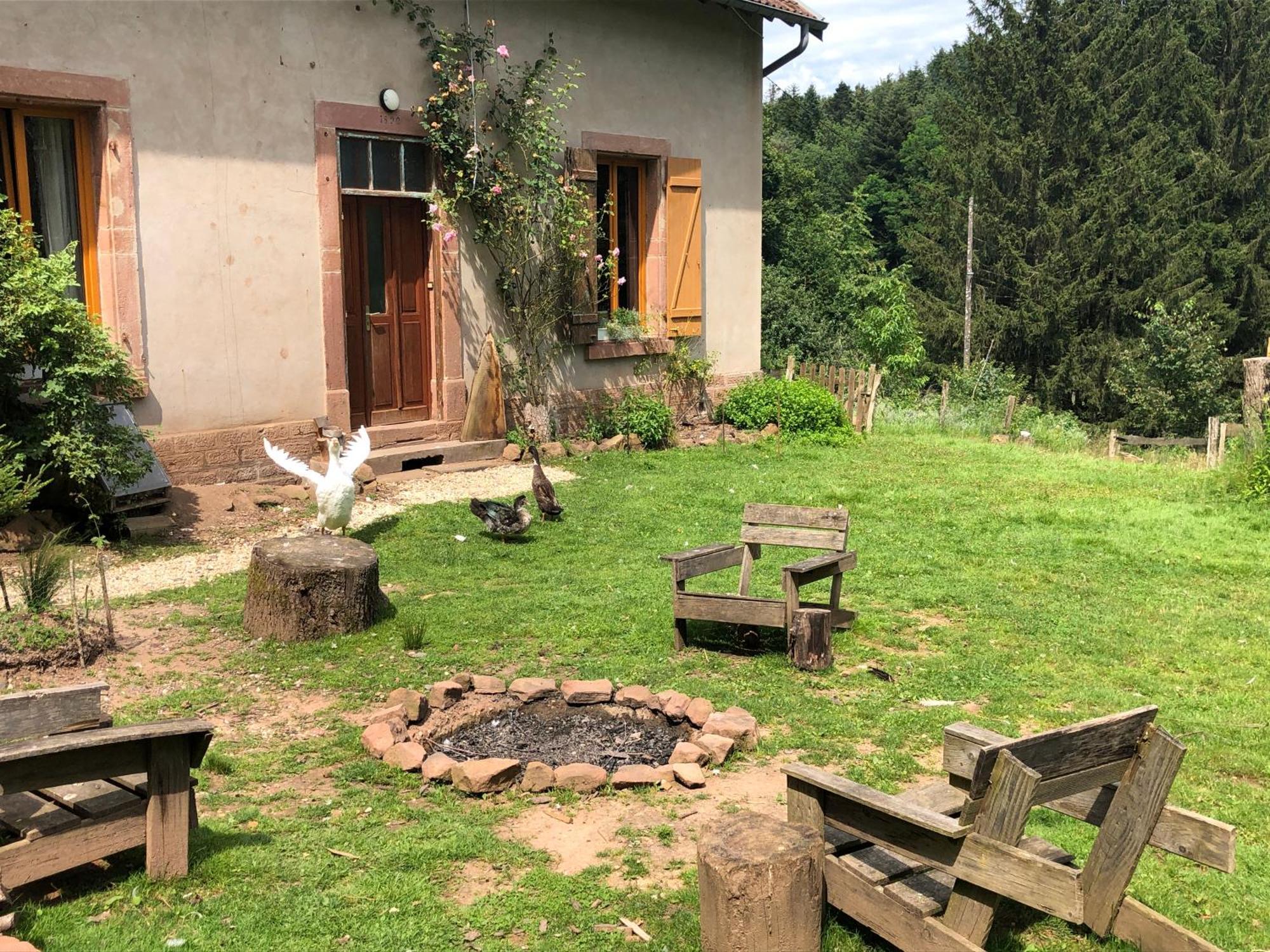 A L'Oree De Soi - Maison Forestiere De La Soie - Eco Gite, Chambres D'Hotes, Camping Au Pied Des Vosges Saint-Sauveur  Экстерьер фото