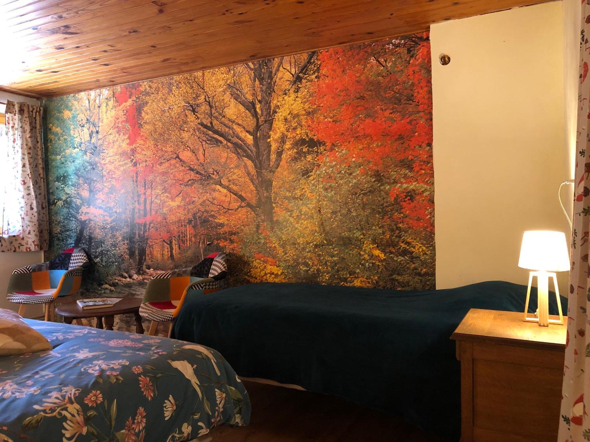 A L'Oree De Soi - Maison Forestiere De La Soie - Eco Gite, Chambres D'Hotes, Camping Au Pied Des Vosges Saint-Sauveur  Экстерьер фото