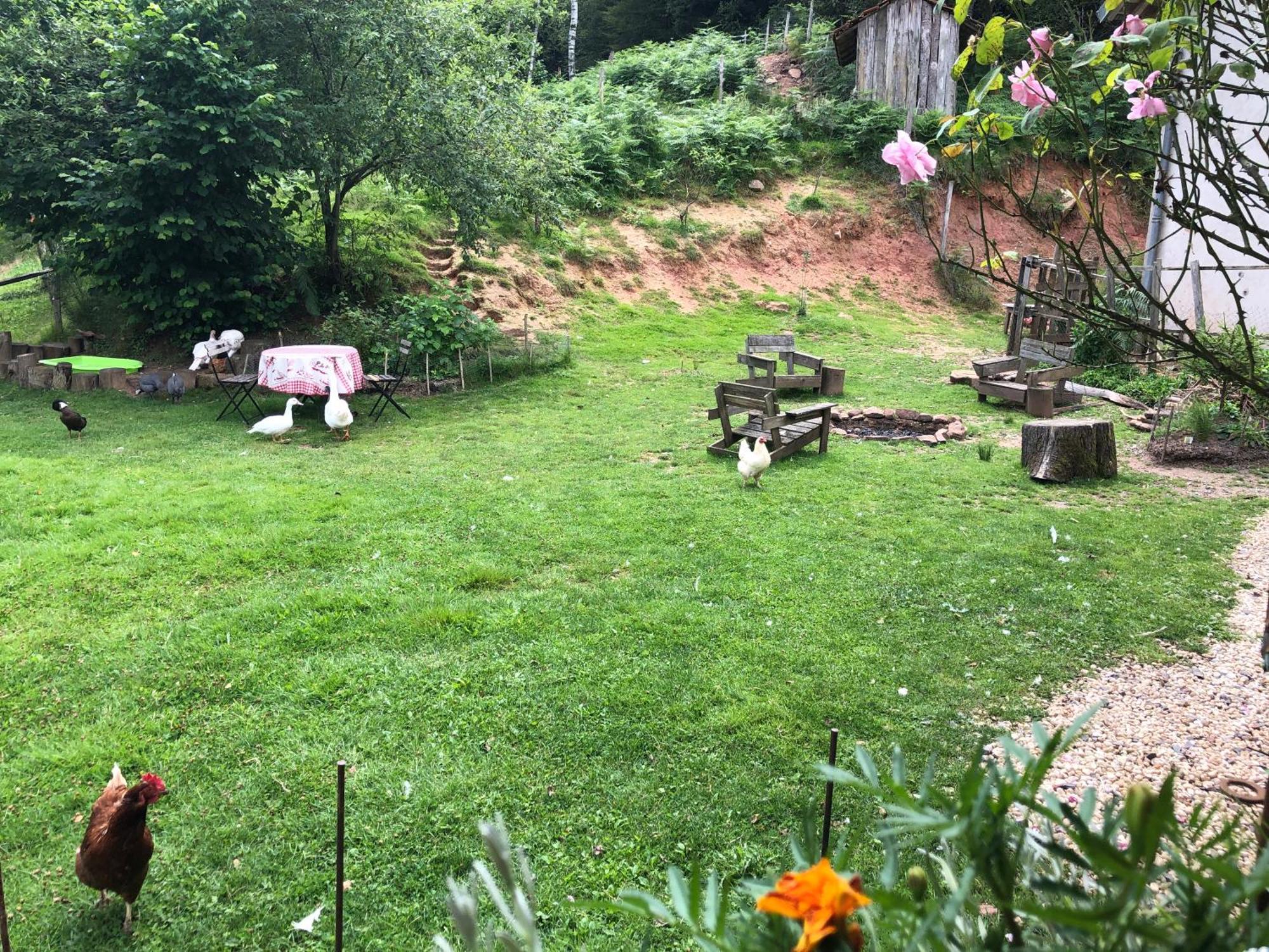 A L'Oree De Soi - Maison Forestiere De La Soie - Eco Gite, Chambres D'Hotes, Camping Au Pied Des Vosges Saint-Sauveur  Экстерьер фото